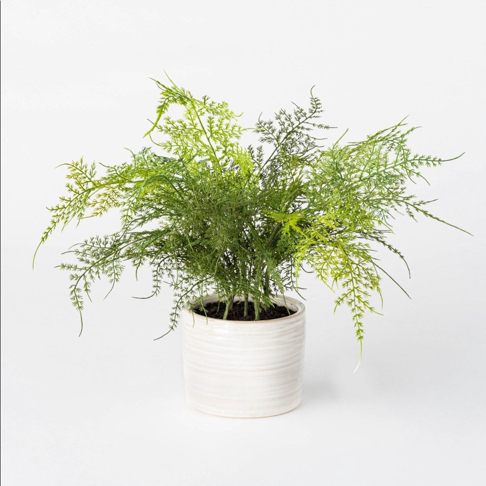 Studio McGee faux plant!